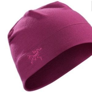 Arc'teryx Rho LTW Beanie